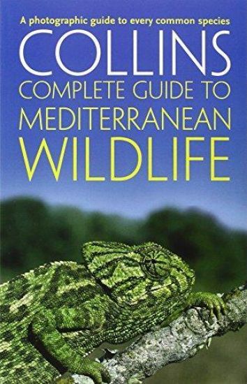 Complete Mediterranean Wildlife