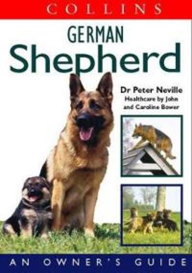 Collins German Shepherd