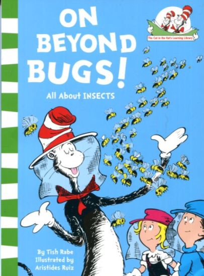 On Beyond Bugs