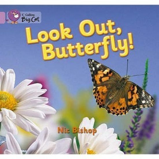 Look Out Butterfly!
