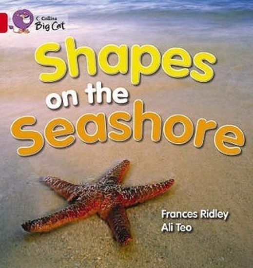 Shapes on the Seashore