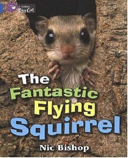 The Fantastic Flying Squirrel
