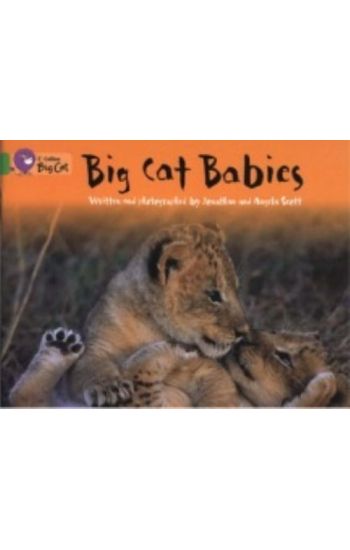 Big Cat Babies