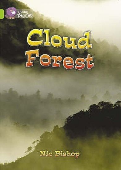 Cloud Forest