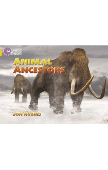 Animal Ancestors