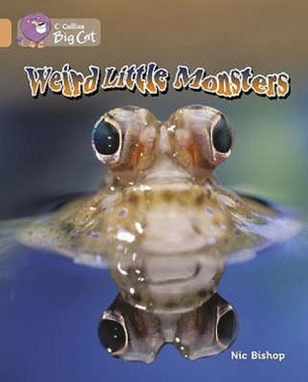 Weird Little Monsters