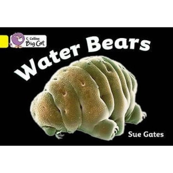 Water Bears