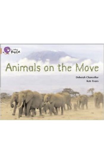 Animals on the Move