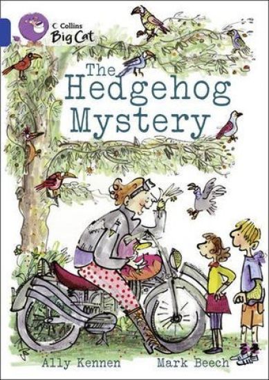 The Hedgehog Mystery