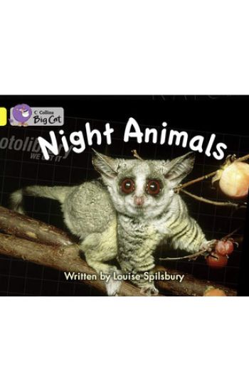 Night Animals