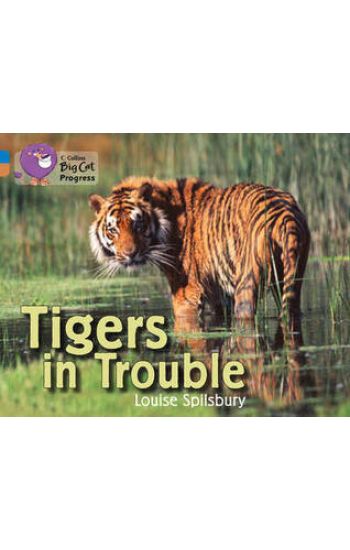 Tigers in Trouble