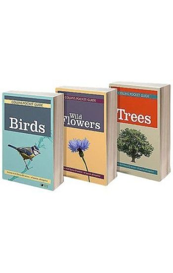 Collins British Tree Guide