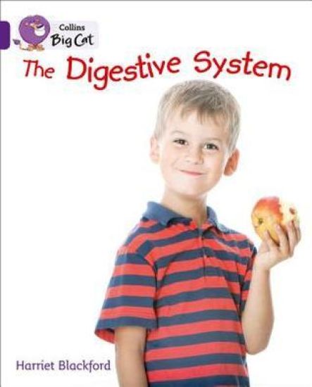 The Digestive System
