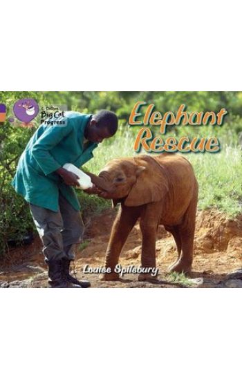 Elephant Rescue