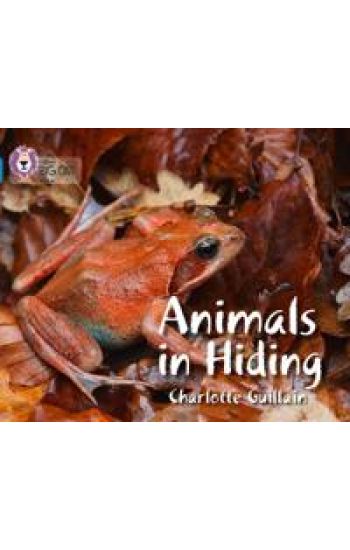 Animals in Hiding