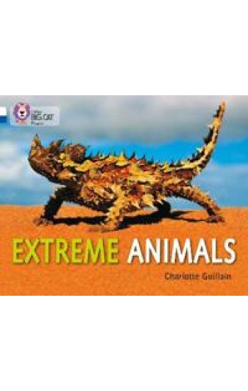Extreme Animals
