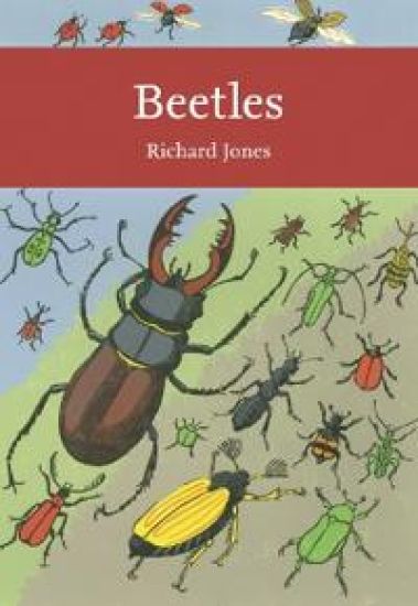 Beetles