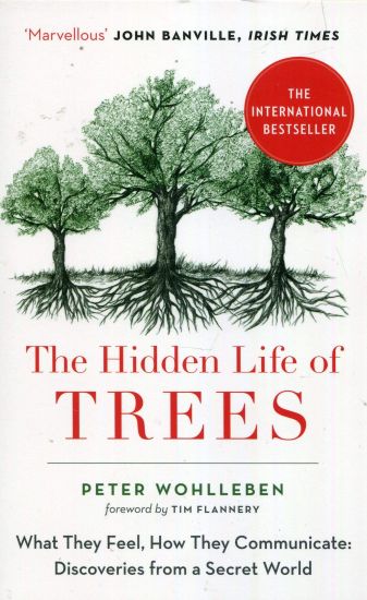 Hidden Life of Trees