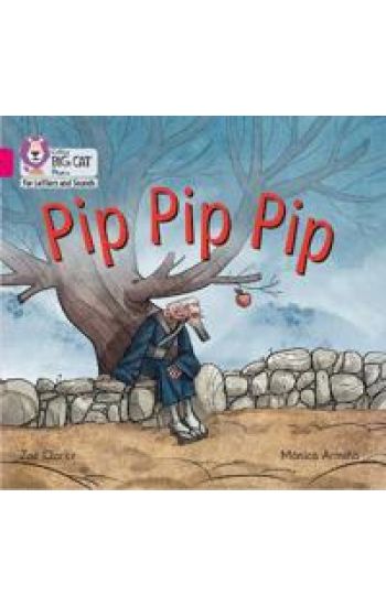 Pip Pip Pip