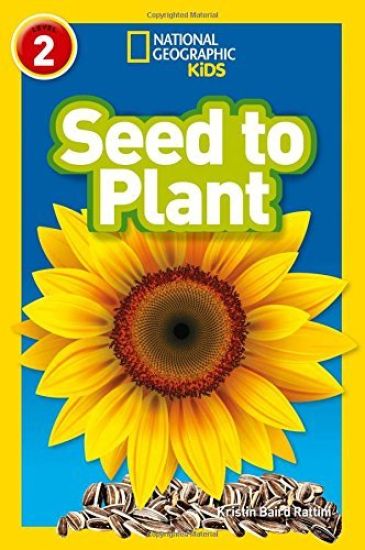 Seed to Plant