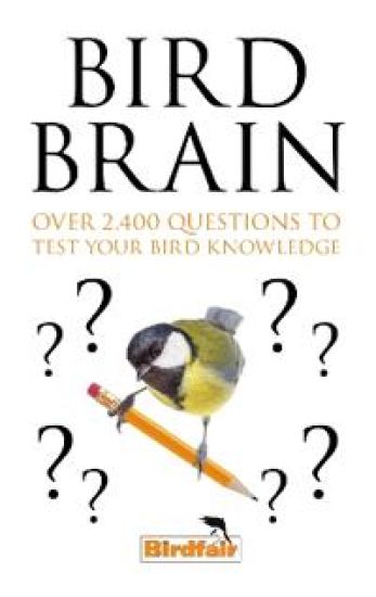 Bird Brain