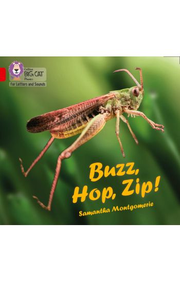 Buzz, Hop, Zip!