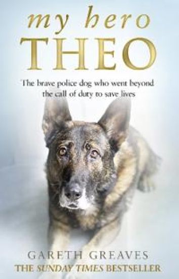 My Hero Theo