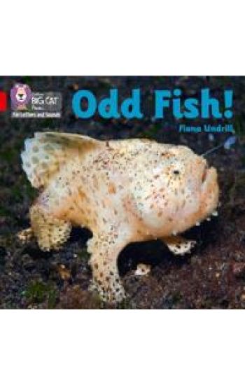 Odd Fish!