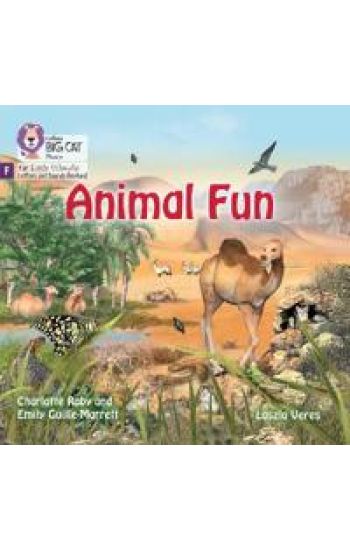 Animal Fun