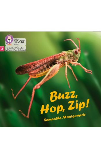 Buzz, Hop, Zip!