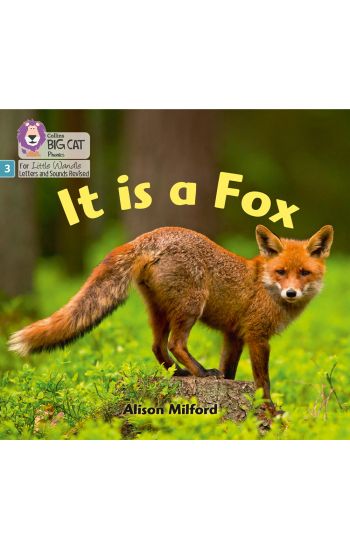 It is a Fox