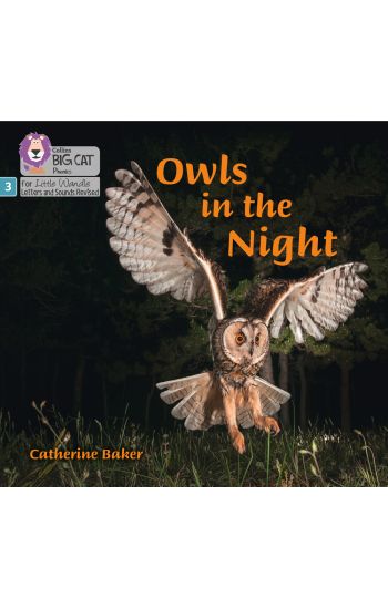 Owls in the Night