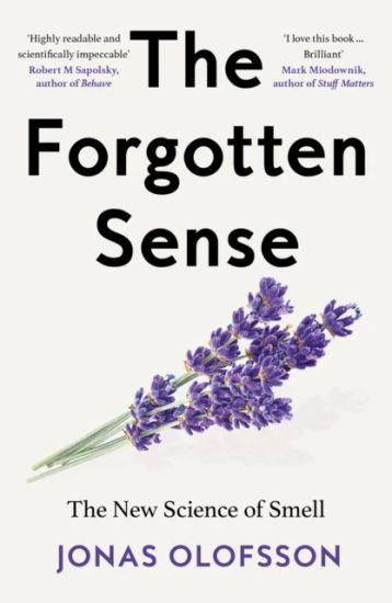 The Forgotten Sense