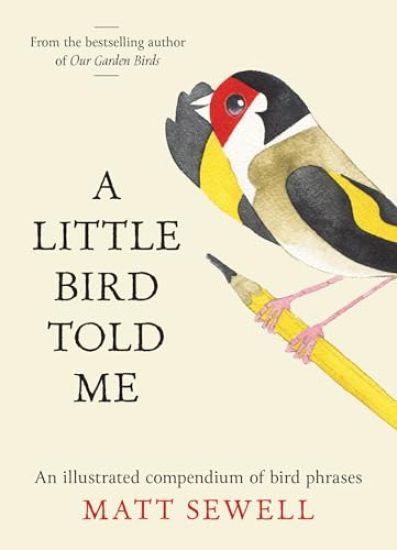 A Little Bird Told Me