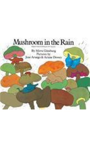 Mushroom in the Rain