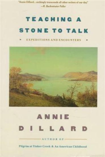 Teaching a Stone to Talk