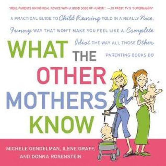 What the Other Mothers Know: A Practical Guide to Child Rearing Told in a Really Nice, Funny Way That Won't Make You Feel Like a Complete Idiot the Wa