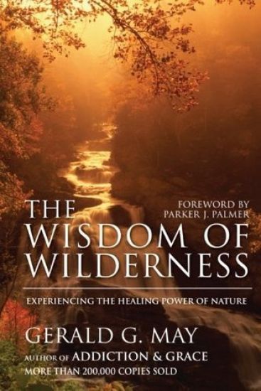 The Wisdom of Wilderness: Experiencing the Healing Power of Nature