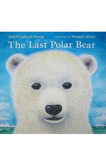 The Last Polar Bear