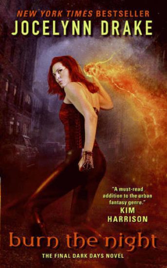 Burn the Night: The Final Dark Days Novel