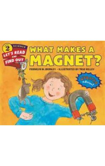 What Makes a Magnet?