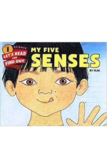 My Five Senses