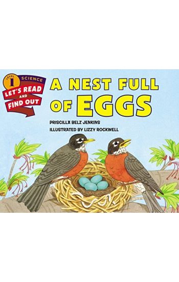 A Nest Full of Eggs