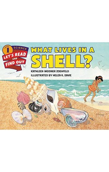What Lives In A Shell?