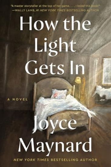 How the Light Gets In