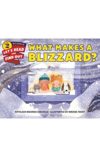 What Makes a Blizzard?