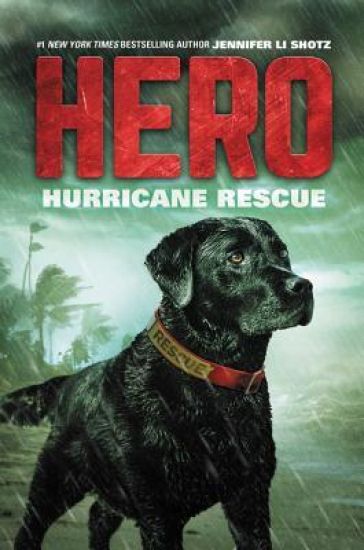 Hurricane Rescue
