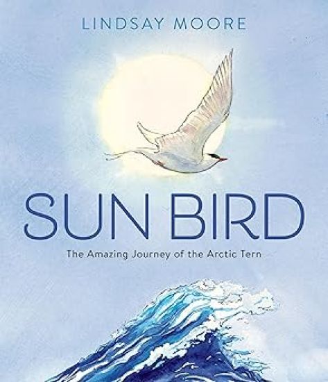 Sun Bird: The Amazing Journey of the Arctic Tern