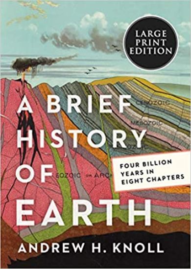A Brief History of Earth