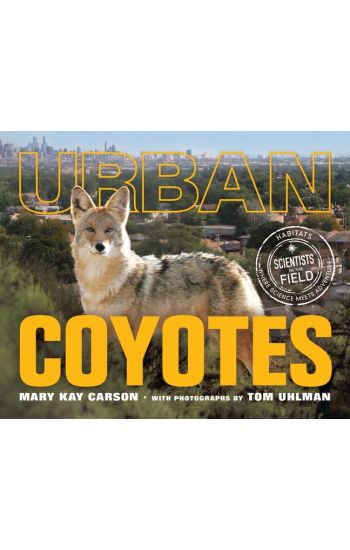 Urban Coyotes